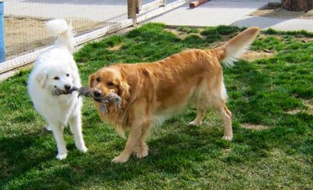 Entry image for Cassie & Bailey. Clicking this image will show a larger photo
