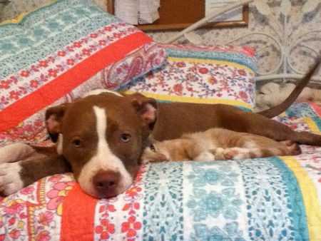 Izzy and George