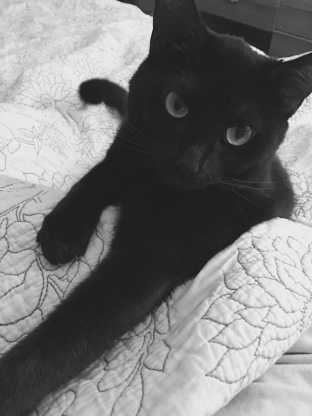 Salem
