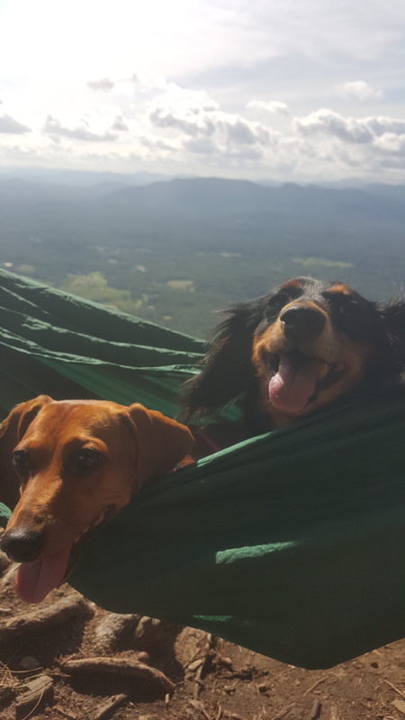 Daisy and Bailey