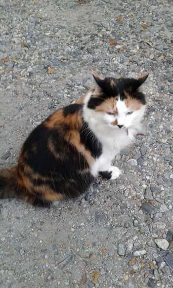 SusieLeigh