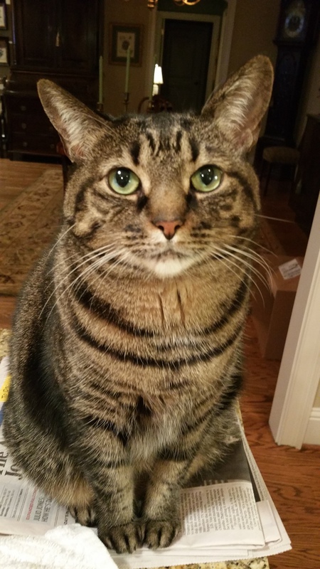 Samantha 