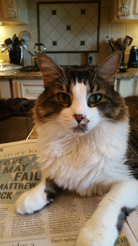 Petey
