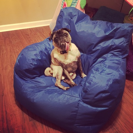 Otis