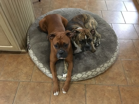 JoJo And Tyson