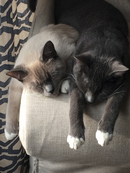 River & Chase
