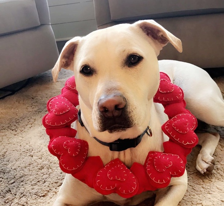 Sadie