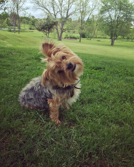 Gus