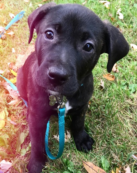 Jax