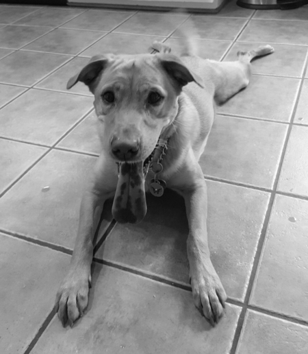 Kuzi