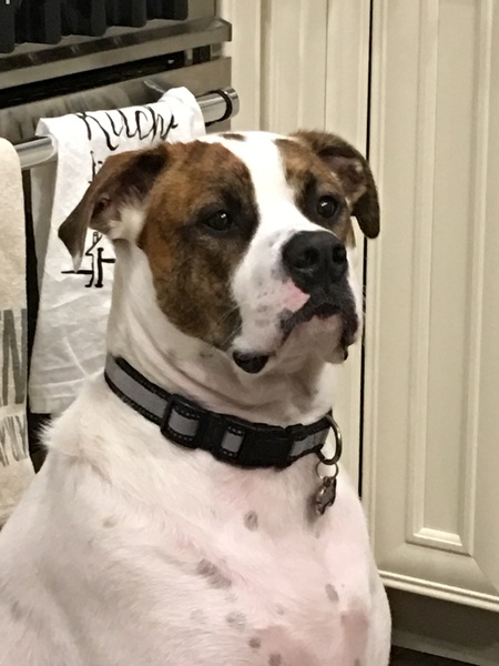 Teyo