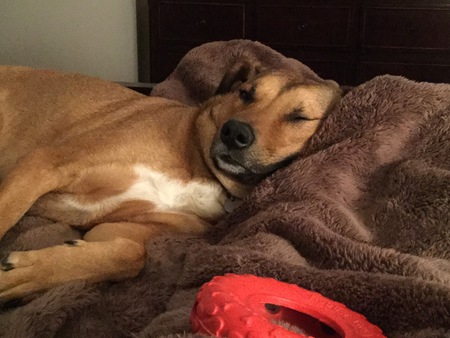  Benji
