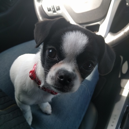 Minnie