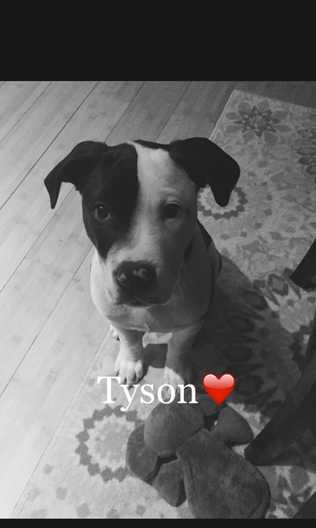 Tyson 