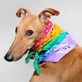 Entry image for Cautious Cooper 