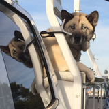 Entry image for Skye