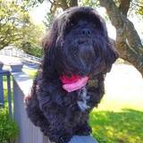 Entry image for Madeline Monroe Russell (Maddie)