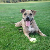 Entry image for Kara