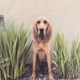 Entry image for Cabela