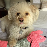 Entry image for Abigail