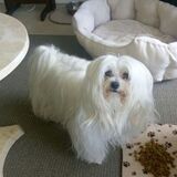 Entry image for Benz