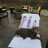 Entry image for Kingston