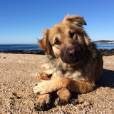 Entry image for Luca 