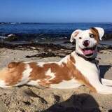 Entry image for Spur