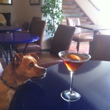 Entry image for Payton