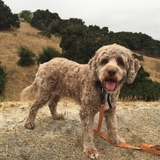 Entry image for Murray