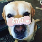 Entry image for Cali