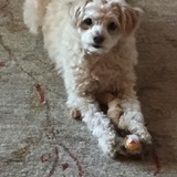 Entry image for Chrissy