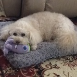 Entry image for Maddie Bova