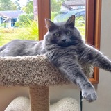 Entry image for Tilley