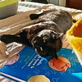 Entry image for Anette