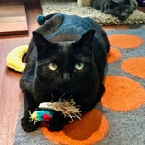 Entry image for Anette