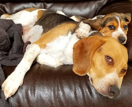 Entry image for Ripley & Contessa. Clicking this image will show a larger photo