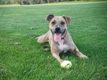 Entry image for Kara. Clicking this image will show a larger photo