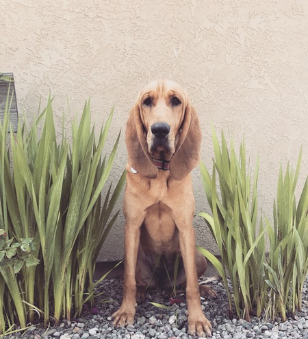 Entry image for Cabela. Clicking this image will show a larger photo