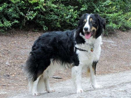 Entry image for Katy. Clicking this image will show a larger photo