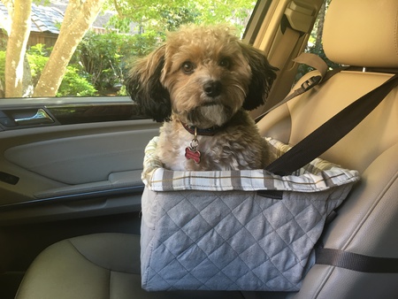 Entry image for TAG. Clicking this image will show a larger photo