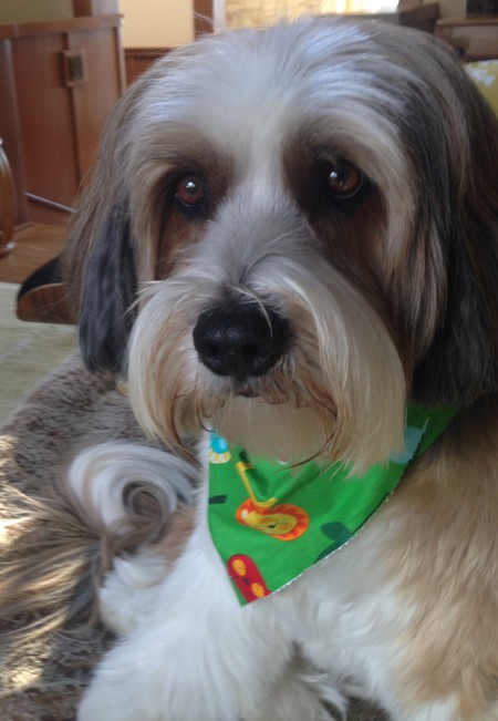 Tucker