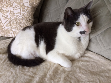 Entry image for Cedric. Clicking this image will show a larger photo