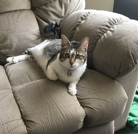 Entry image for Penelope. Clicking this image will show a larger photo