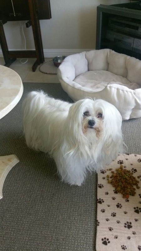 Entry image for Benz. Clicking this image will show a larger photo