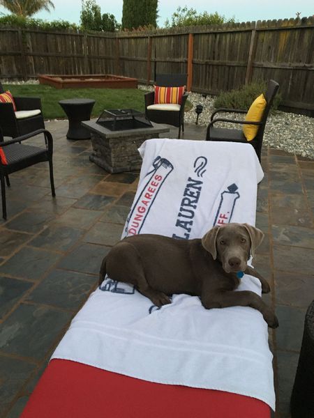 Entry image for Kingston. Clicking this image will show a larger photo