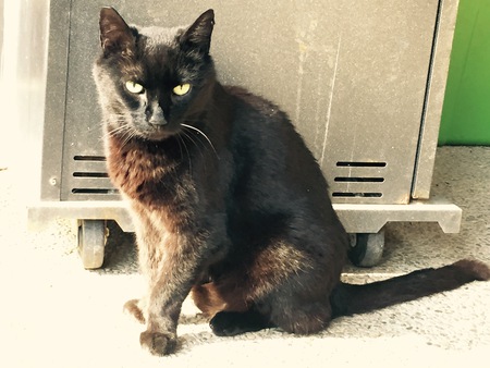 Entry image for BFF. Clicking this image will show a larger photo