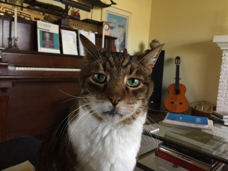 Entry image for Misha. Clicking this image will show a larger photo