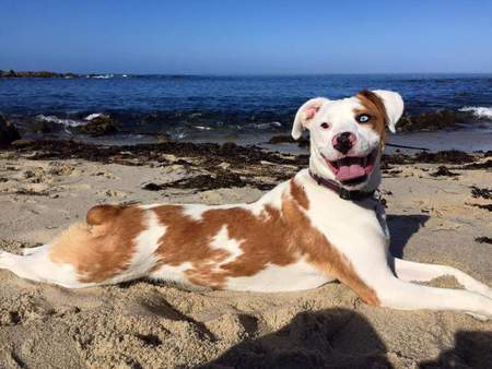 Entry image for Spur. Clicking this image will show a larger photo