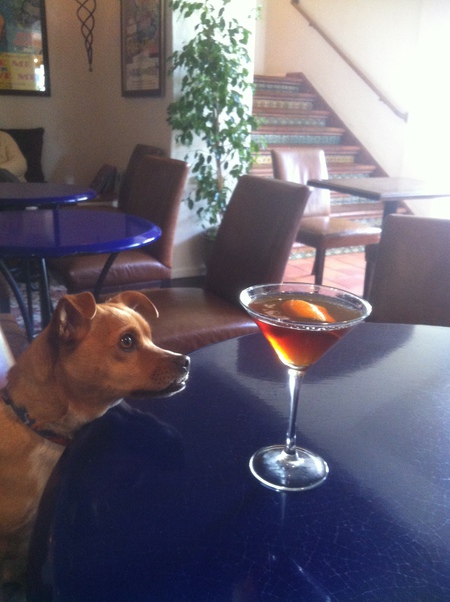 Entry image for Payton. Clicking this image will show a larger photo